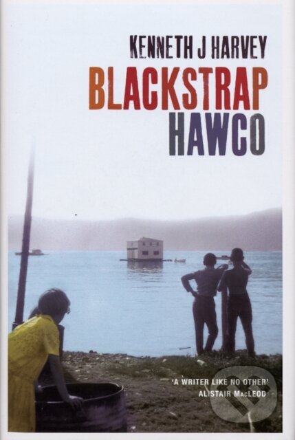 Kniha: Blackstrap Hawco (Kenneth J Harvey). Harvill Secker, 2018