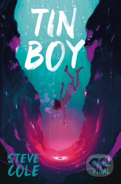 Kniha: Tin Boy (Steve Cole). Barrington, 2019