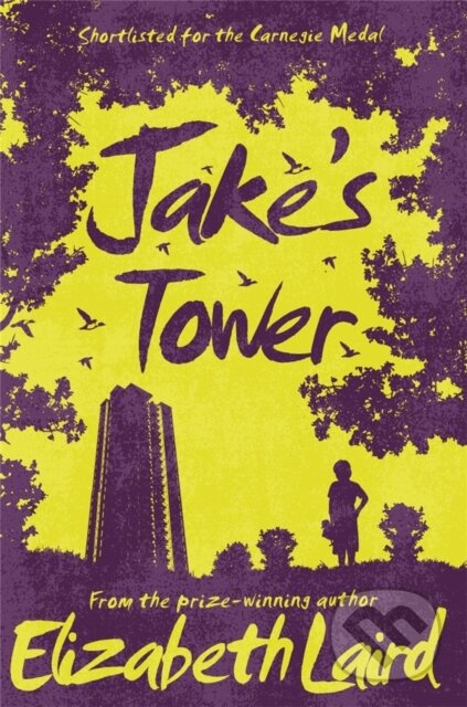 Kniha: Jake's Tower (Elizabeth Laird). Pan Macmillan, 2017