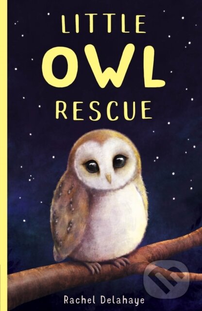 Kniha: Little Owl Rescue (Rachel Delahaye). Little Tiger, 2020