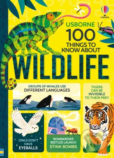Kniha: 100 Things to Know About Wildlife (Alice James). Usborne, 2026