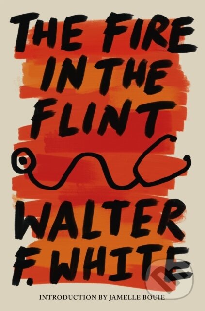 Kniha: Fire in the Flint (Walter White F). , 2025