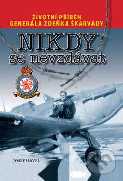 Kniha: Nikdy se nevzdávat (Zdeněk Škarvada). Ostrov, 2007