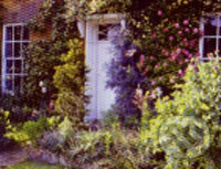 Georgian Door with Beautiful Pink anf Yellow Climbers - Clive Nichols, Crown & Andrews