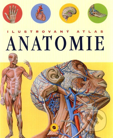 Ilustrovaný atlas anatomie, SUN, 2007