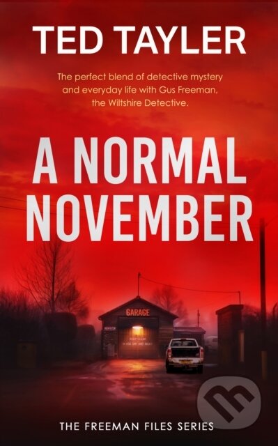 Kniha: A Normal November (Ted Tayler). Vinci Books, 2025