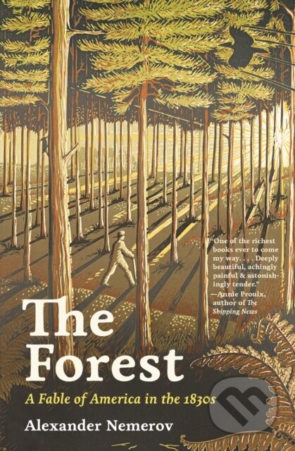 Kniha: The Forest – A Fable of America in the 1830s (Alexander Nemerov). Princeton University Press, 2024