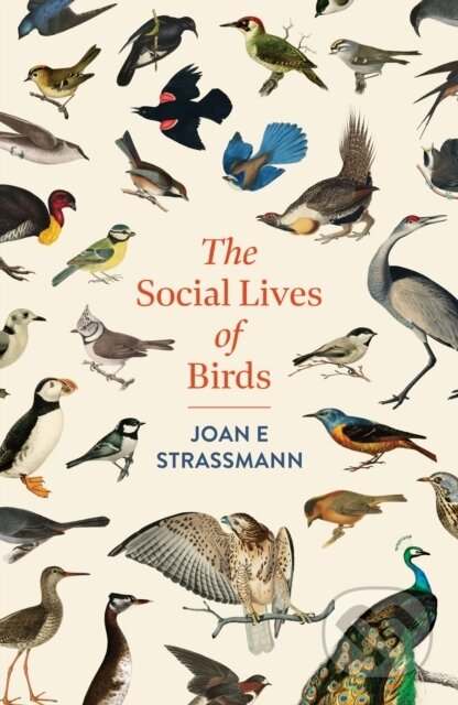 Kniha: Social Lives of Birds (Joan E. Strassmann). Headline Book, 2026