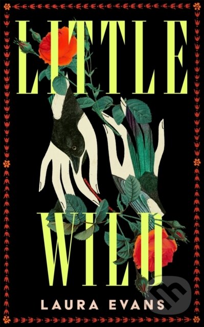 Kniha: Little Wild (Laura Evans). Pan Books, 2026
