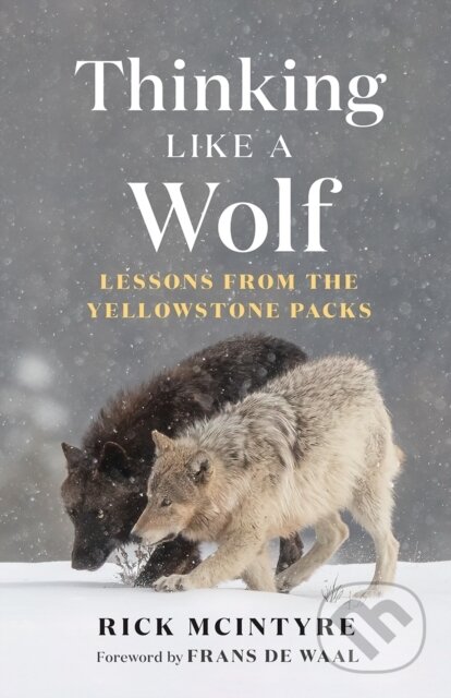 Kniha: Thinking Like a Wolf (Rick Mcintyre). , 2024