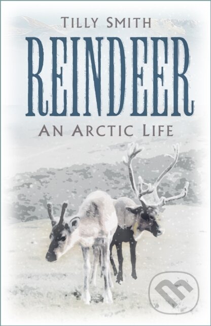Kniha: Reindeer (Tilly Smith). The History Press, 2022
