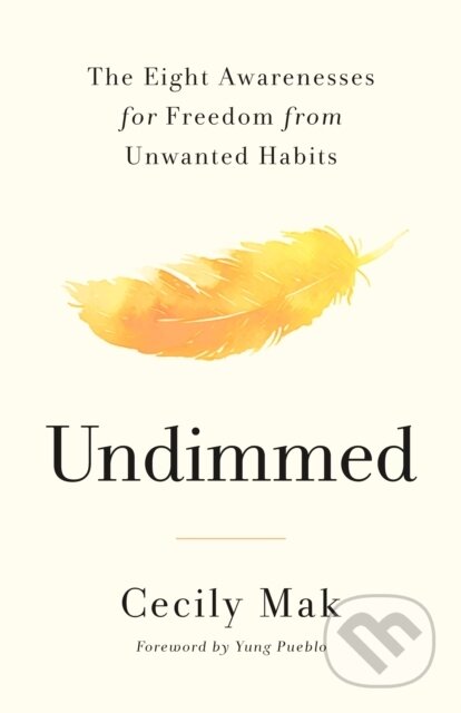 Kniha: Undimmed (Cecily Mak). Flatiron Books, 2026