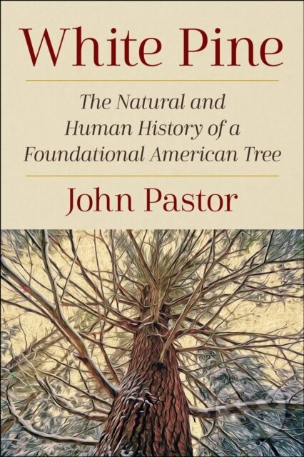 Kniha: White Pine (John Pastor). Island Press, 2023