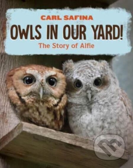 Kniha: Owls in Our Yard! – The Story of Alfie (Carl Safina). WW Norton & Co, 2024