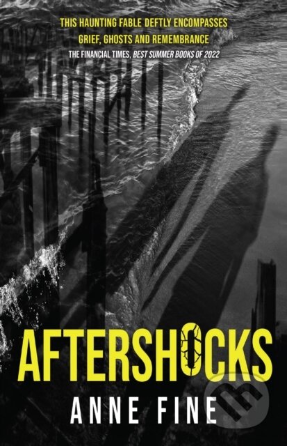 Kniha: Aftershocks (Anne Fine). Old Barn Books, 2022