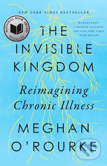 Kniha: The Invisible Kingdom (Meghan O'Rourke). Riverhead, 2023