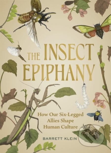 Kniha: The Insect Epiphany (Barrett Klein). Timber, 2024