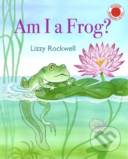 Kniha: Am I a Frog? (Lizzy Rockwell). Holiday house, 2022