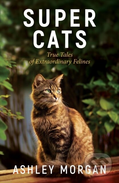 Kniha: Super Cats (Ashley Morgan). Summersdale, 2023