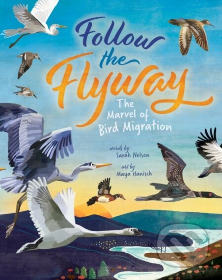 Kniha: Follow the Flyway (Sarah Nelson). , 2023