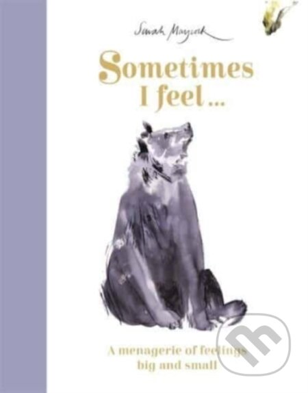 Kniha: Sometimes I Feel... (Sarah Maycock). Big Picture, 2022