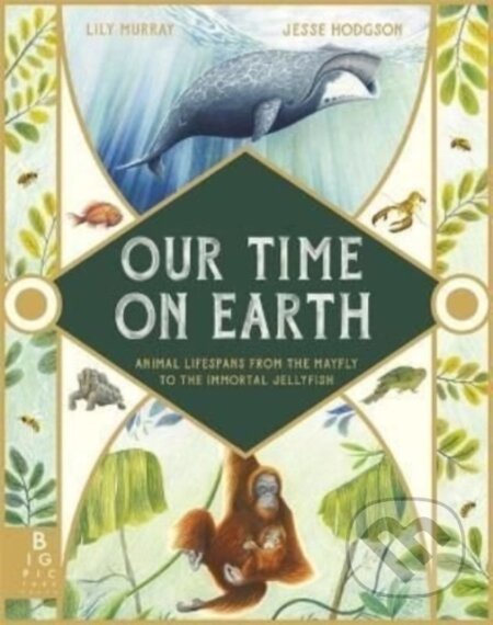 Kniha: Our Time on Earth (Lily Murray). Big Picture, 2022