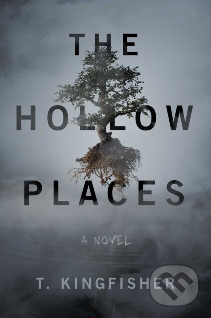 Kniha: The Hollow Places (T. Kingfisher). Gallery Books, 2020