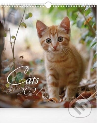 Kniha: Cats 2027 - nástěnný kalendář (MFP). MFP, 2026