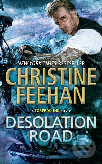 Kniha: Desolation Road (Christine Feehan). , 1900