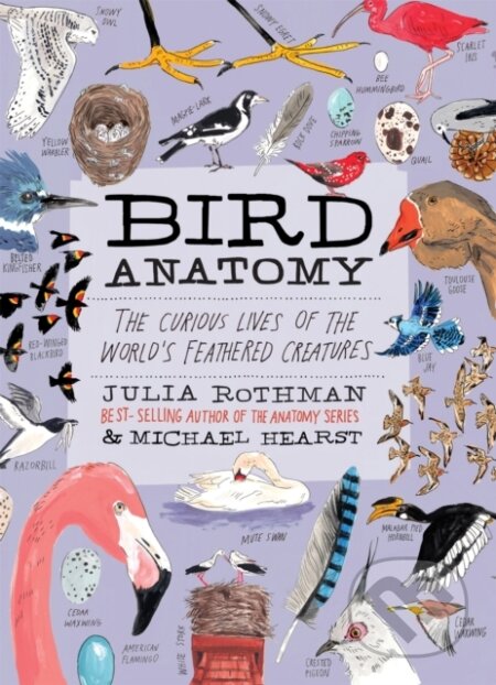 Kniha: Bird Anatomy (Julia Rothman). Workman Publishing, 2026