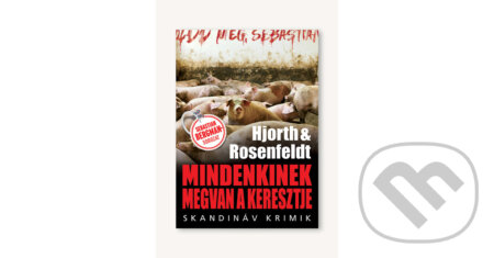Kniha: Mindenkinek megvan a keresztje (Michael Hjorth a Hans Rosenfeldt). Animus Kiadó, 2024