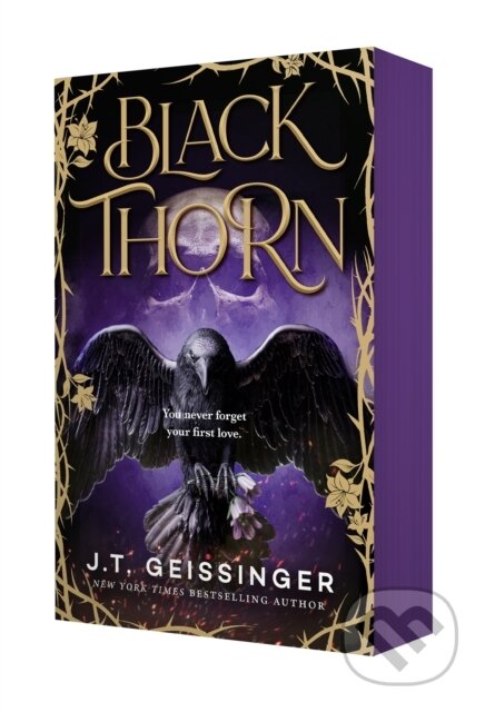 Kniha: Blackthorn (J.T. Geissinger). , 2026
