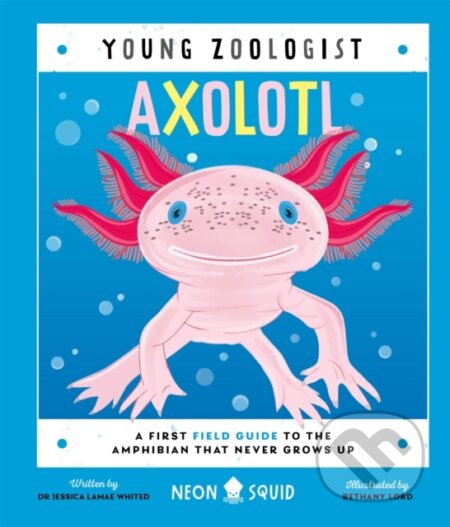 Kniha: Axolotl (Young Zoologist) (Jessica L. Whited a Neon Squid). Priddy Books, 2024
