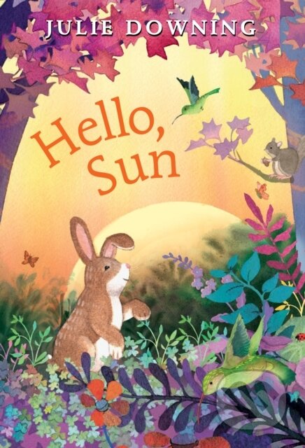 Kniha: Hello, Sun (Julie Downing). Holiday house, 2024