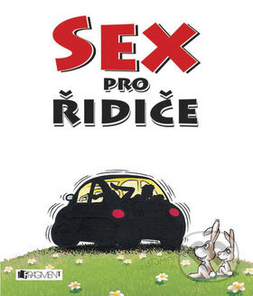 Sex pro řidiče - Patrick Seewald, Frank Mayer, Nakladatelství Fragment, 2007