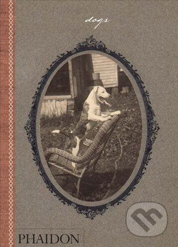 Dogs - William Wegman - kniha z kategorie Chov zvířat