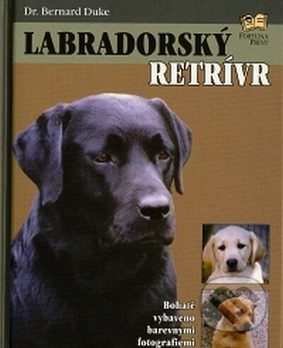 Labradorský retrívr - Duke Bernard, Fortuna Print, 2007