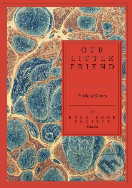 Kniha: Our Little Group (Patricia Rivers). , 2026