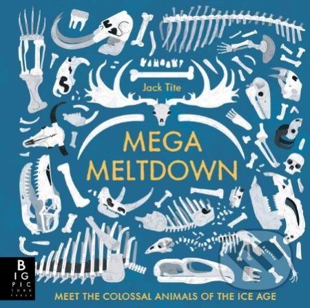 Mega Meltdown - Jack Tite, Big Picture, 2018