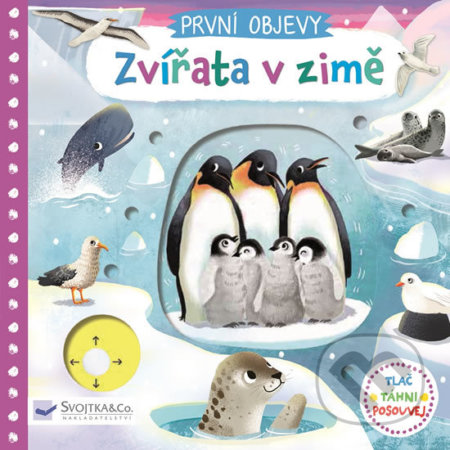 Zvířata v zimě (Tlač, táhni, posouvej) - Jenny Wren - kniha z kategorie Pro děti