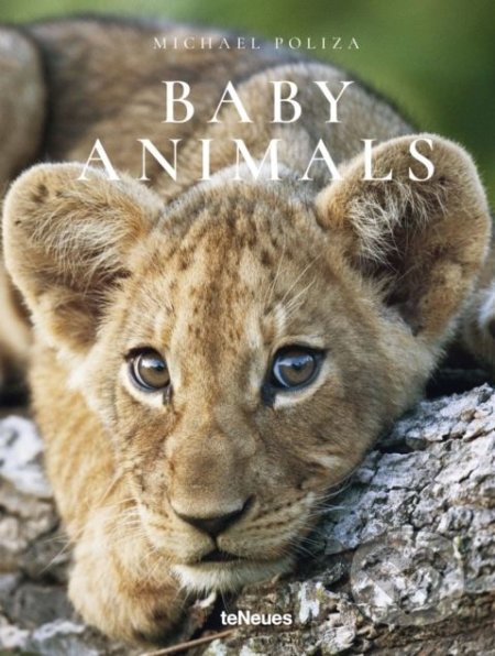 Baby Animals - Michael Poliza - kniha z kategorie Fotografie