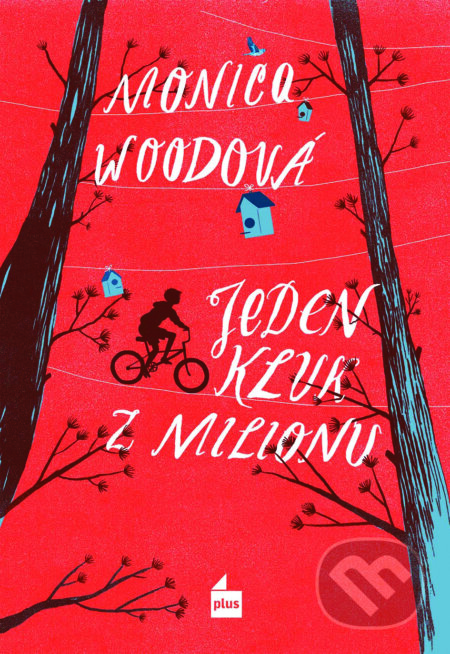 E-kniha: Jeden kluk z milionu (Monica Wood)