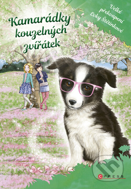 E-kniha: Kamarádky kouzelných zvířátek 3: Velké překvapení Evky Štětinkové (Daisy Meadows)