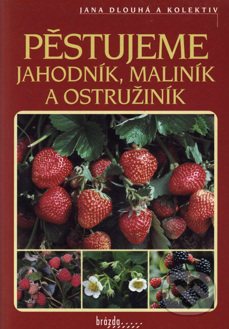 Pěstujeme jahodník, maliník a ostružník - Jana Dlouhá a kolektiv, Brázda, 2003
