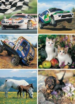 Zvieratá a autá mix, Dino