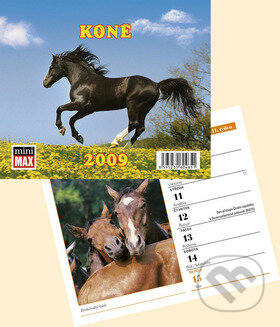 Koně 2009 - stolní kalendář, Helma, 2008