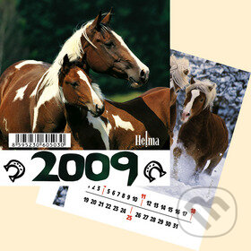 Mini koně 2009, Helma, 2008