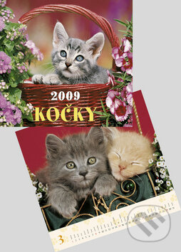 Kočky 2009, Helma, 2008