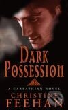 Dark Possession - Christine Feehan - kniha z kategorie Beletrie