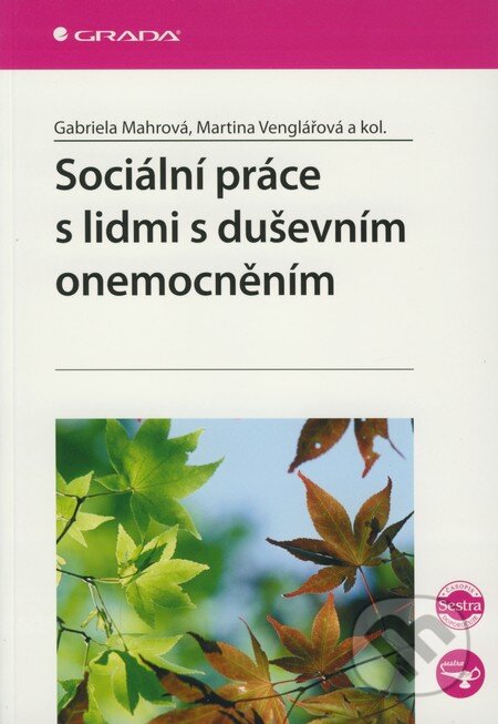 Sociální práce s lidmi s duševním onemocněním - Gabriela Mahrová, Martina Venglářová, Grada, 2008
